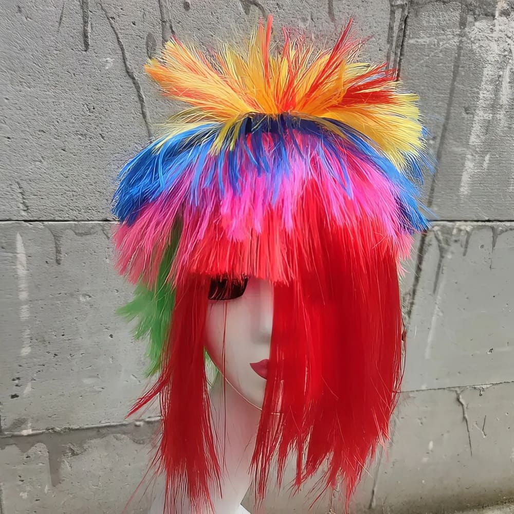 Perruque Multicolore