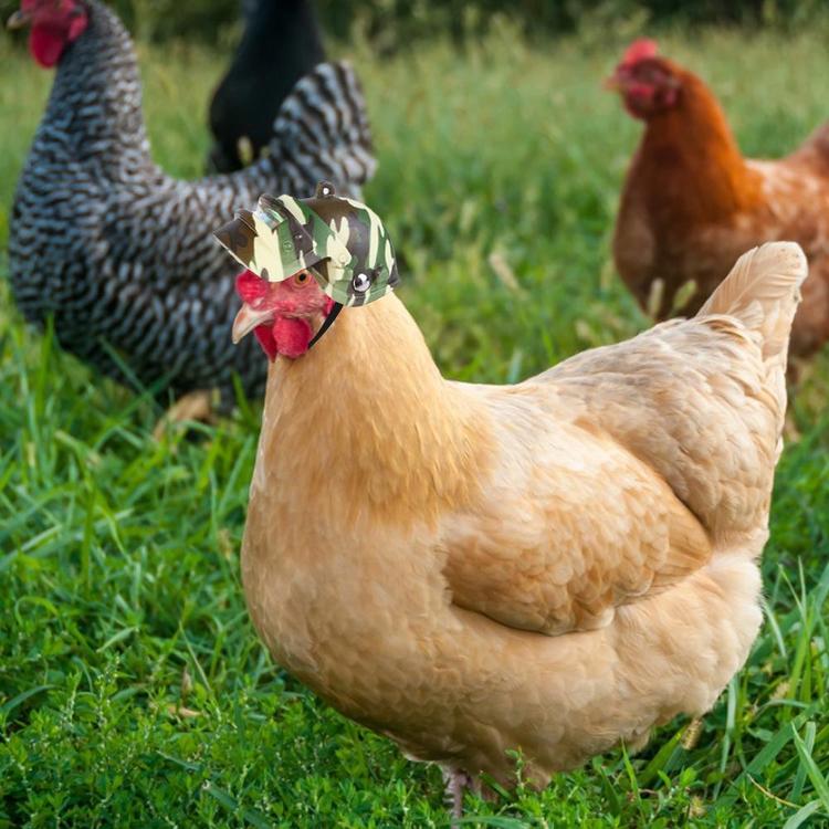 Casque Pour Poulet