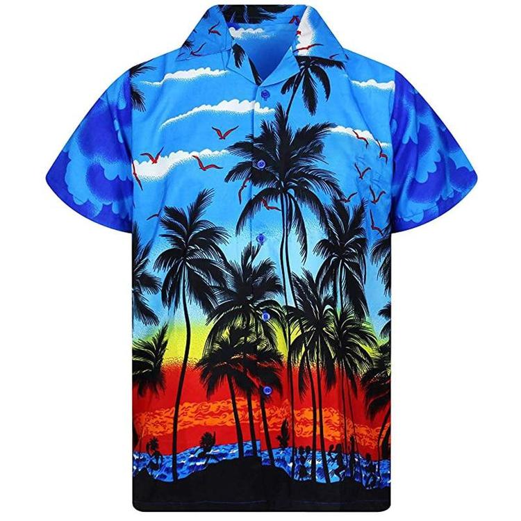 Chemise Hawaïenne Beauf