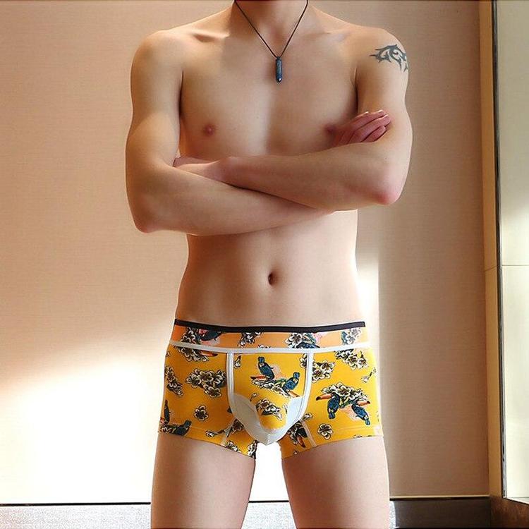 Slip Trompe Éléphant