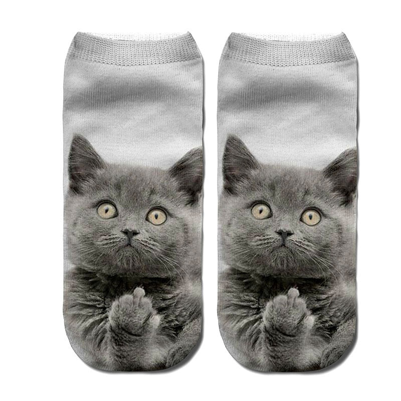 Chaussettes Chat Grossier