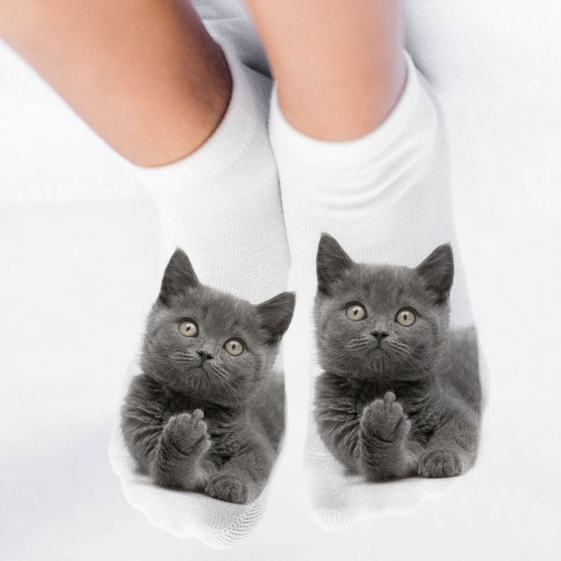 Chaussettes Chat Grossier