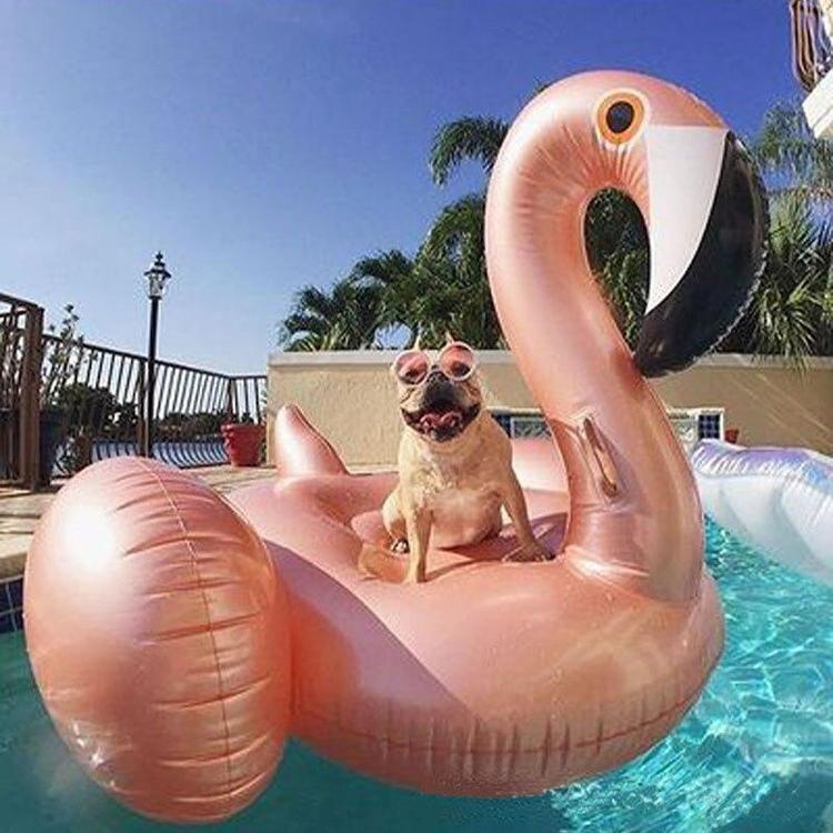 Bouée Flamant Rose Gonflable
